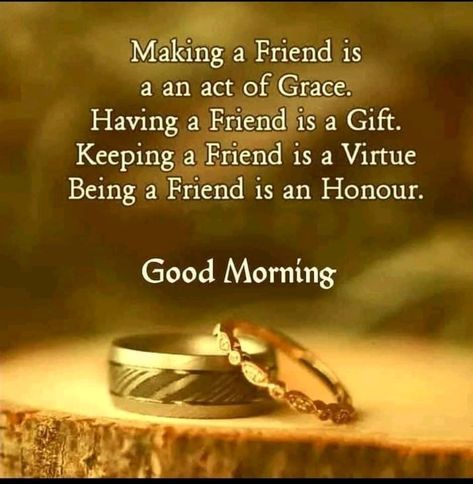 Good Morning Friends Quotes Friendship, Good Morning My Dear Friend, Good Morning Quotes Friendship, Good Morning Dear, Quotes To Start Your Day, Daily Wishes, Good Morning Dear Friend, Motivational Good Morning Quotes, Brave Quotes