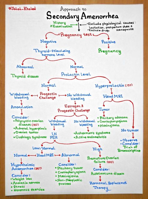 Obs Gynae Notes, Gynecologist Notes, Gynecology Notes, Gynecologist Aesthetic, Obstetrics Nursing, Medical Laboratory Technician, Medical Assistant Student, Midwifery Student, Basic Anatomy And Physiology