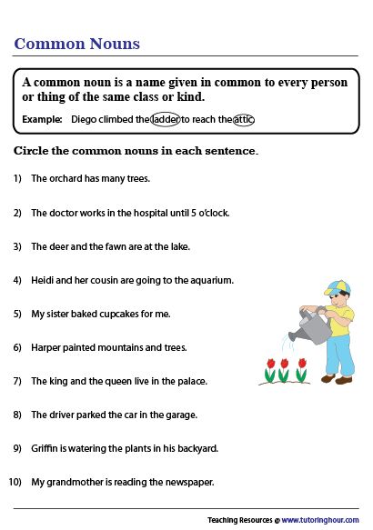 Common Nouns Activities, Common Nouns Worksheet, Nouns Exercises, Common Noun, English Questions, Proper Nouns Worksheet, Nouns Activities, Basic English Grammar Book, Grammar Notes