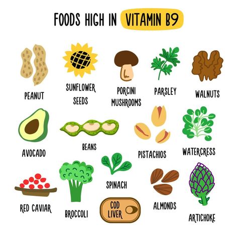 Vitamin B Foods, Vitamin Foods, Folate Rich Foods, Folate Foods, Keto App, Healthy Food Products, Vitamin Rich Foods, Vitamin A Foods, Vitamin B9