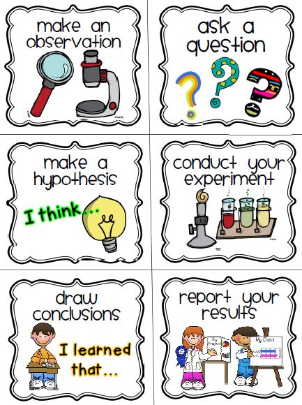 scientific process for kids | Classroom Freebies: Scientific Method Cards Scientific Method For Kids, Scientific Method Steps, Scientific Method Posters, Scientific Method Worksheet, Kid Science, 1st Grade Science, First Grade Science, Primary Science, 5th Grade Science