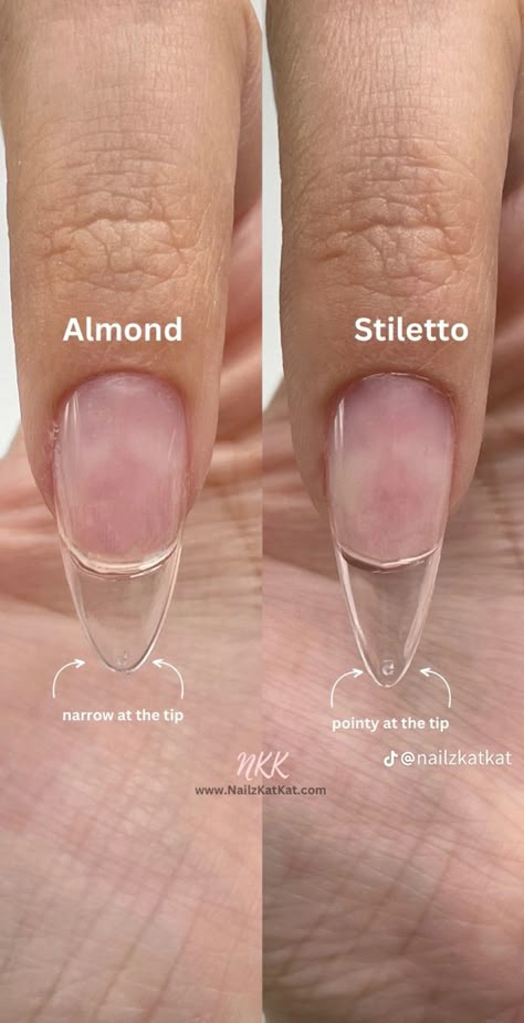 Nail Type Shape, Nail Anatomy Diagram, Nails Forms Shape, Nail Forms Shape, How To Cut Nails Shape, How To Shape Nails Step By Step, Nail Inspo For School, Nails Form, Nail Shape Chart