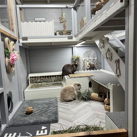 Rabbit Furniture Diy, Rabbit Rooms Indoor, Luxury Rabbit House, Rabbit Incloser, Large Indoor Rabbit Enclosure, Rabbit Room Setup, Bunny Apartment Set Up, Outside Bunny Enclosure, Rabbit Mansion