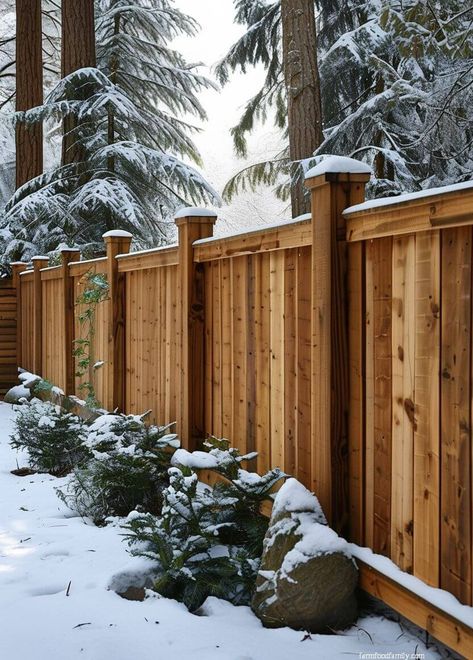 20 Stunning Cedar Fence Ideas That Will Transform Your Yard (2024) Cedar Garden Fence, Cedar Fence Ideas, Cedar Wood Fence, Redwood Fence, Vinyl Privacy Fence, Cedar Garden, Fence Designs, Garden Paving, Fence Styles