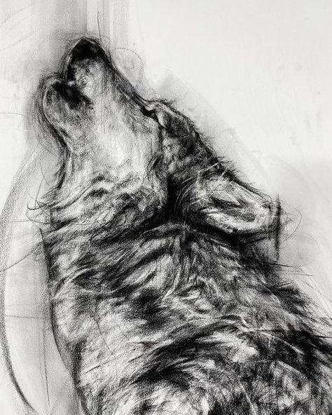 Beautiful Christmas Drawings, Fur Ink Drawing, Charcoal Art Animals, Charcoal Reference, Charcoal Animal Drawings, Wolf Pencil Sketch, Animal Charcoal Sketches, Coal Drawing, Wolf Black And White Drawing