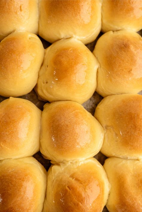 Parkerhouse Rolls Recipe Parkerhouse Rolls, How To Make Rolls, Easy Homemade Rolls, Parker House Rolls Recipe, Homemade Ranch Dip, Cherry Pie Bars, Traditional Thanksgiving Recipes, Pumpkin Pie Recipe Easy, Pecan Cobbler