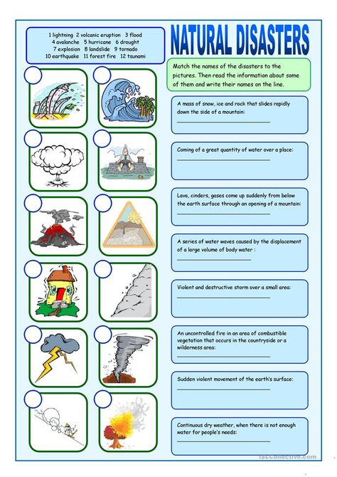 Natural Disasters Matching Exercises - English ESL Worksheets Natural Disasters For Kids, Natural Disasters Lessons, Natural Disasters Activities, Reading Exercises, Natural Hazards, Vocabulary Exercises, Social Studies Worksheets, Natural Disaster, Vocabulary Worksheets