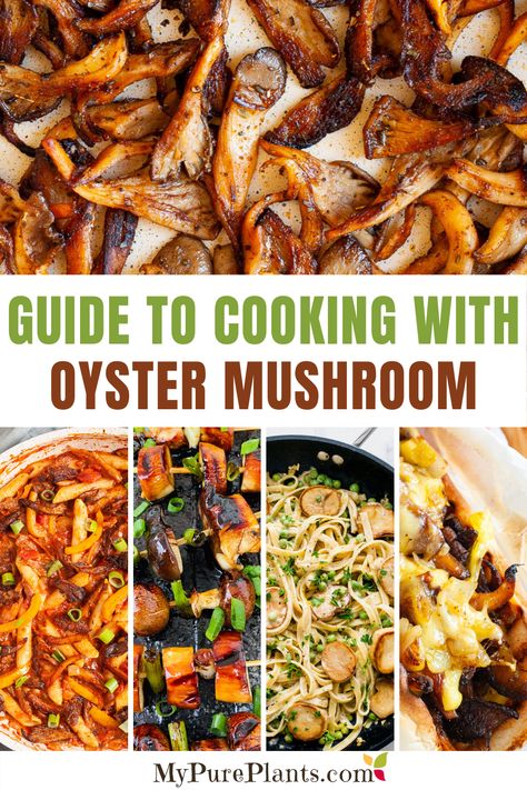 What are oyster mushrooms? How do they taste? How to clean, store, and prepare them? How to cook them? Here is a complete guide to cooking with oyster mushrooms. Everything you ever wanted to ask! We even included 20+ amazing oyster mushroom recipes for you to try first. Mushroom Recipes Oyster, Chicken Oyster Mushroom Recipes, How To Prepare Oyster Mushrooms, Vegan Recipes Oyster Mushrooms, Shredded Oyster Mushrooms, Mushroom Oyster Recipes, Chicken And Oyster Mushroom Recipes, Recipes For Oyster Mushrooms, Cooking Oyster Mushrooms