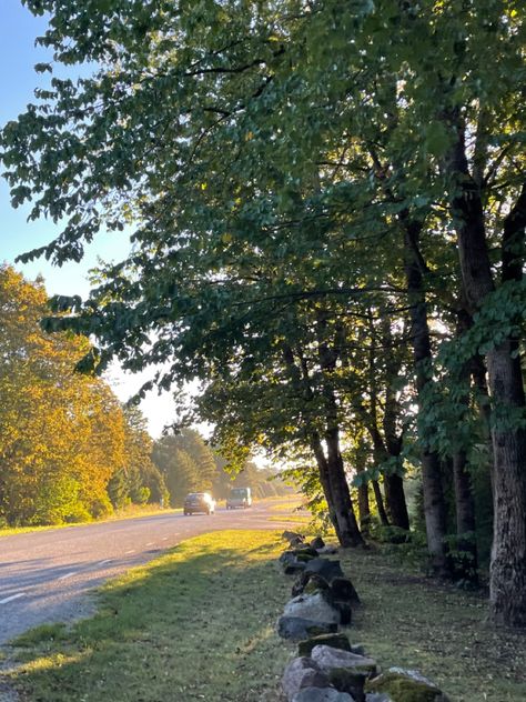 Early Afternoon Aesthetic, Sunny Mornings Aesthetic, Early Morning Drive Aesthetic, Afternoon Aesthetic, Early Autumn Morning Aesthetic, Summer Walk Aesthetic Morning, Early Morning Aesthetic Sunrise, Barbara Eden, Morning Pictures