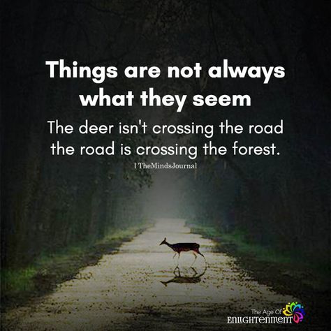 Things Are Not Always What They Seem https://themindsjournal.com/things-are-not-always-what-they-seem Truths Feelings, Nature Quotes, A Quote, Reality Quotes, Wise Quotes, True Words, Thoughts Quotes, The Words, Meaningful Quotes