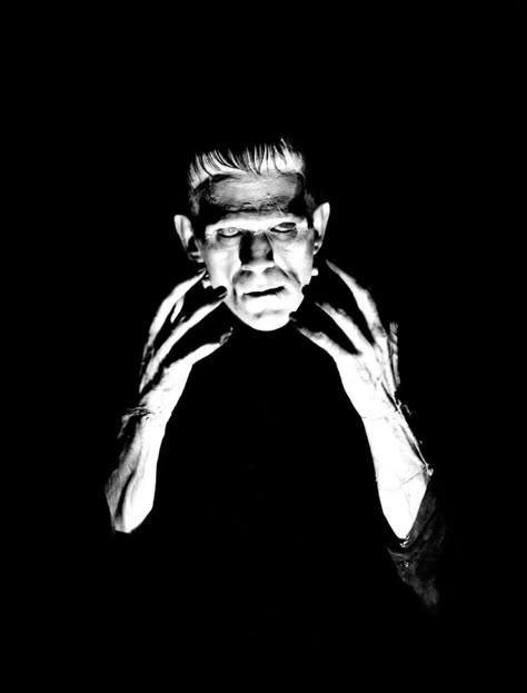 Frankenstein Aesthetic, Boris Karloff Frankenstein, Frankenstein Film, Frankenstein 1931, Frankenstein Bride, Graphic Clothes, Michael C Hall, Boris Karloff, Black Paper Drawing