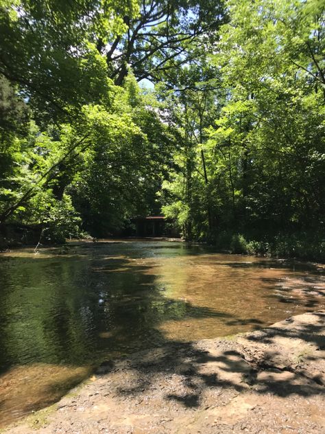 Summer In The Woods Aesthetic, Tennessee Summer Aesthetic, Nature Summer Aesthetic, The South Aesthetic, Southern Summer Aesthetic, Summer Country Aesthetic, Country Side Summer, Country Summer Aesthetic, Rural Tennessee