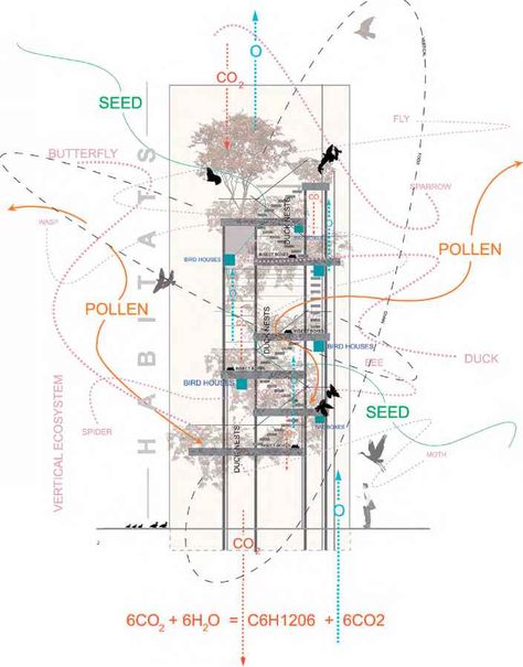 Agriculture Architecture, Refinish Wood Floors, Old Wood Floors, Master Thesis, Erosion Control, Refinishing Floors, Fire Escape, Garden Architecture, Diagram Architecture