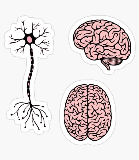 drawing of a neuron and two brains Brain Sticker, Watermark Ideas, Funny Laptop Stickers, Medical Stickers, Science Stickers, Cloud Stickers, Health Psychology, Cognitive Science, Art Tools Drawing