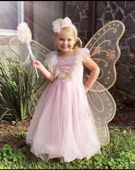 Butterfly Princess Costume, Fairy Princess Costume Kids, Toddler Fairy Costume, Girls Butterfly Costume, Tooth Fairy Costumes, Princess Costume Kids, Fairy Princess Costume, Elegant Fashion Outfits, Baby Costumes Girl