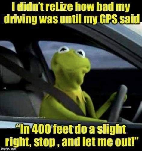 Driving Humor, Kermit Funny, Driving Skills, Good Morning Funny Pictures, Super Funny Memes, I Love You Pictures, Good Morning Funny, Good Luck To You, Sarcastic Quotes Funny