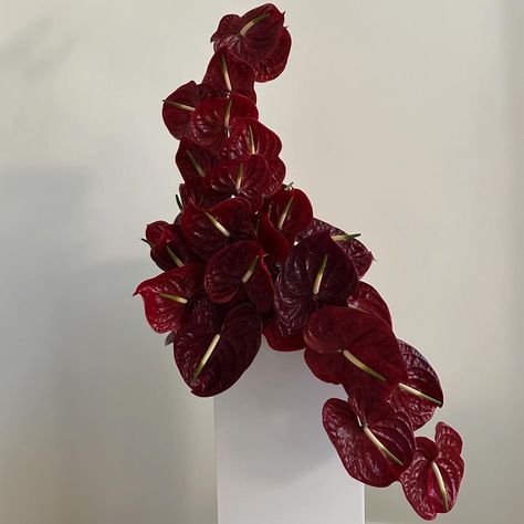 Exotic Bouquet, Anthurium Arrangement, Cherry Coded, Anthurium Bouquet, Dark Red Flowers, Red Anthurium, Vegas Bride, Anthurium Plant, Anthurium Flower