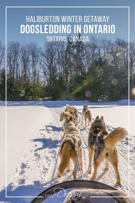 Looking to try dog sledding in Ontario? Winterdance dogsled tours provided us with a dream dogsledding experience during our Haliburton winter getaway. | #Ontario #dogsledding #wintergetaway #winter #activities | Ontario Winter, Winter Getaways, Dog Sled, Ontario Travel, Canada Travel Guide, Canadian Travel, Canada Road Trip, Visit Canada, Explore Canada