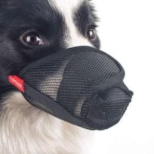 Dog Potty Area, Dog Muzzles, Mesh Mask, Dog Sewing Patterns, Dog Muzzle, Dog Potty, Dogs Breeds, Black Face Mask, Dog Socks