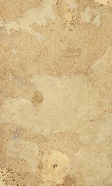 413 Old Parchment, Background, Burnt Photos and Premium High Res Pictures - Getty Images Old Parchment, Black Paper Background, Newspaper Background, Pictures Background, Free Paper Texture, History Background, Vintage Paper Textures, Parchment Background, Old Paper Background