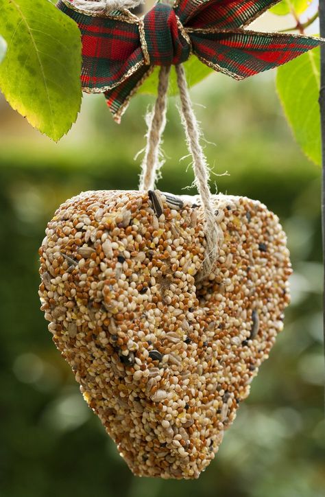 These super cute bird seed ornaments make the perfect gifts to sell in your shop! #christmasgifts #cutecrafts #crafts #makemoney #etsyshop  #birdseedcraft Bird Seed Crafts, Gifts To Sell, Christmas Crafts To Sell Make Money, Seed Ornaments, Bird Seed Ornaments, Bead Ornaments, Christmas Crafts To Sell, Weekend Crafts, Popular Crafts