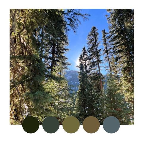 A pretty, earthy color palette that was inspired by this photo I took while on a hike in Hyalite Canyon, near Bozeman, Montana. Montana Color Palette, Hiking Color Palette, Brand Colors Inspiration, Being Active, Bee Creative, Bozeman Montana, Life Lately, Earthy Color Palette, Ski Touring