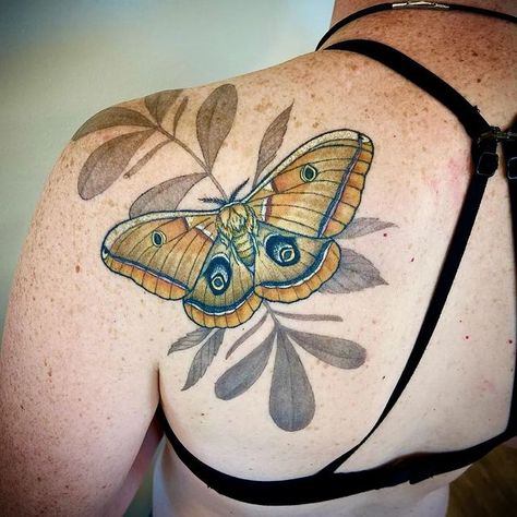 Native Shoulder Tattoo, Botanical Moth Tattoo, Polyphemus Moth Tattoos, Moth Shoulder Tattoo, Colorful Moth Tattoo, Vintage Botanical Tattoo, Polyphemus Moth, Traditional Moth Tattoo, Luna Moth Tattoo