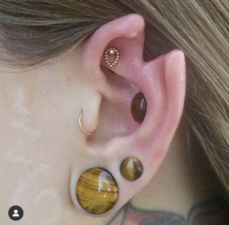 Ear Modification, Body Modification Piercings, Cool Piercings, Ear Style, Cute Piercings, Piercings Unique, Some Body, Stretched Ears, Funky Jewelry