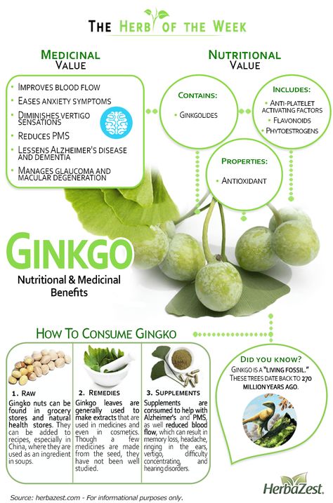 HerbaZest - Ginkgo Biloba Infographic. Find out famous Ginkgo health properties here. Tag: #herbazest #naturalmedicine #infographic #health #healthandfitness Calendula Benefits, Fruit Health Benefits, Matcha Benefits, Lemon Benefits, Herbs For Health, Smoothie Bowls, Ginkgo Biloba, Healing Herbs, Natural Medicine