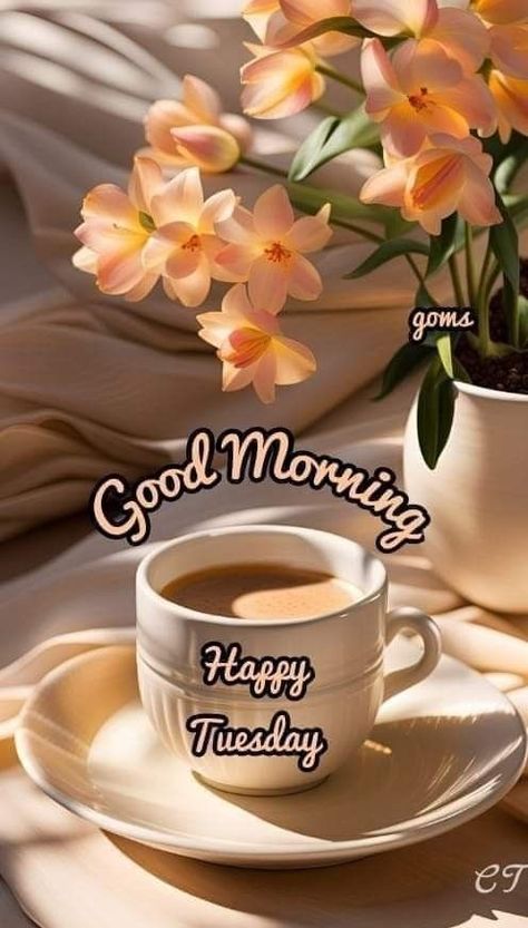 Good Morning Tuesday Wishes, Tuesday Coffee, Tuesday Quotes Good Morning, Tuesday Greetings, Coffee Quotes Morning, Morning Tuesday, Ruth Morehead, Good Morning Tuesday, Good Morning Flowers Rose