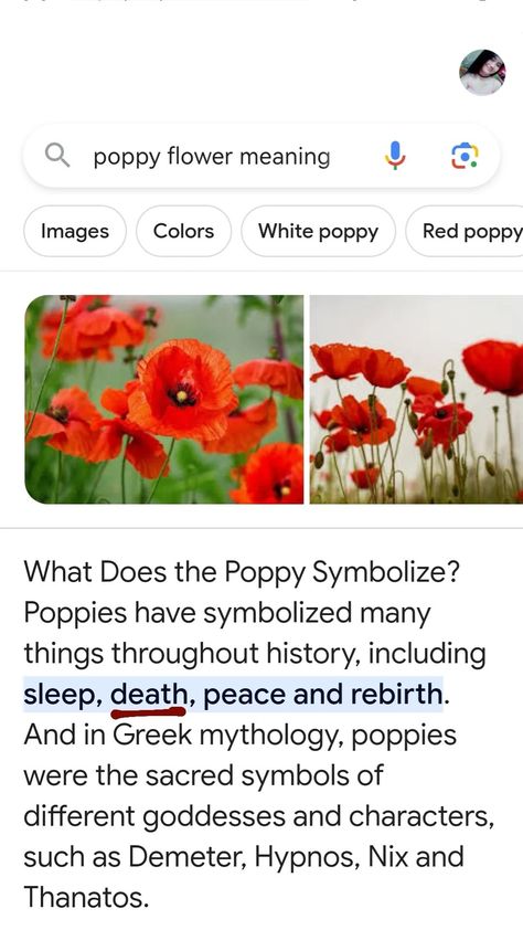 Poppy Meaning Language Of Flowers, Poppy Flower Symbolism, Poppy Flower Meaning, Poppy Symbolism, Poppy Images, Pretty Flowers Pictures, Red Roses Wallpaper, Plant Fungus, White Poppy