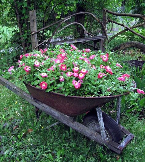 Wheelbarrow Planter Ideas, Wheel Barrel Planter, Wheelbarrow Decor, Wheelbarrow Planter, Wheelbarrow Garden, Large Flower Pots, Barrel Planter, Diy Gardening, Planter Ideas