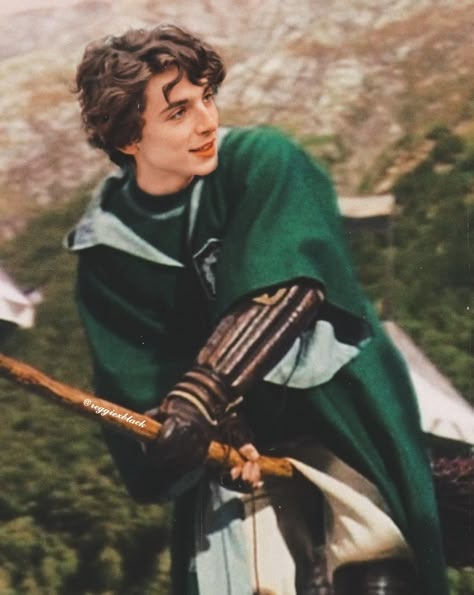 Please don't steal the edit the watermark is there for a reason, you can use it but credit me (@reggiexblack) on instagram Quidditch Seeker, Regulus Acturus Black, Buku Harry Potter, Hogwarts Aesthetic, Timmy T, Slytherin Aesthetic, Regulus Black, All The Young Dudes, Harry Potter Fanfiction