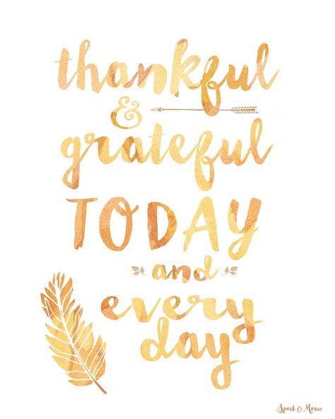 Happy Thanksgiving Gratitude Images Photos Pictures Pics Wallpaper Free Download | Happy Thanksgiving Images 2019 - Thanksgiving Images Quotes Wishes Messages Pics & HD Wallpaper Free Download Thanksgiving Quotes Inspirational, Thankful For Family, Happy Thanksgiving Images, Family Quotes Inspirational, Thanksgiving Gratitude, Grateful Quotes, Thankful Quotes, Feeling Thankful, Thanksgiving Images