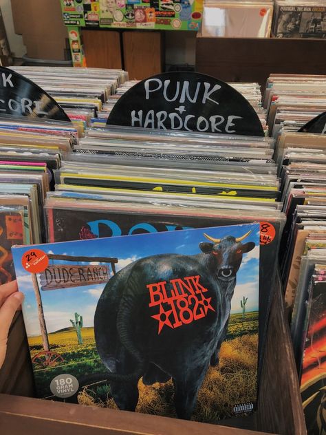 Dude Ranch Blink 182, Punk Record Store, Blink 182 Aesthetic, Willow Aesthetic, Tom Delonge, Punk Aesthetic, Dude Ranch, Blink 182, Music Aesthetic