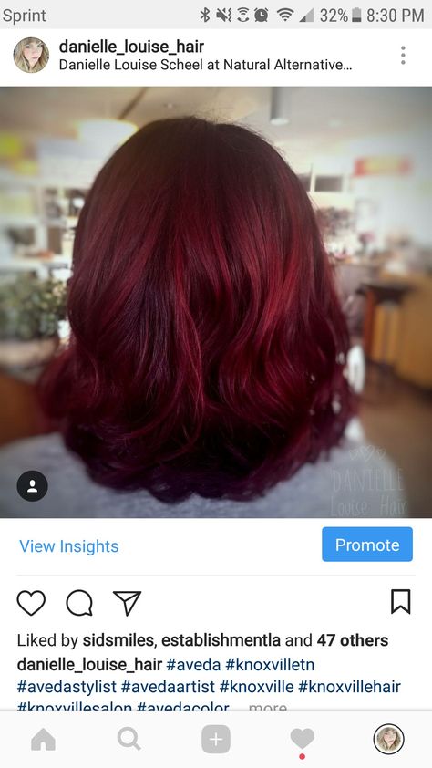 Garnet Red Hair, Dark Garnet, Aveda Color, Dark Red Hair, Garnet Red, Red Garnet, Merlot, Chestnut, Dark Red