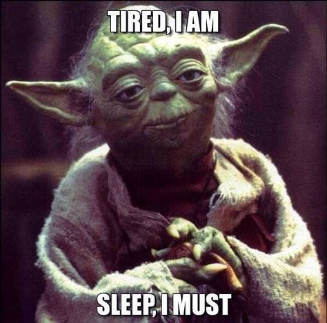 Tired Yoda is Funny Fishing Memes, Fear Leads To Anger, Yoda Meme, Star Wars Meme, Greatest Generation, Star Wars Yoda, Chuck Norris, Geocaching, Memes Humor