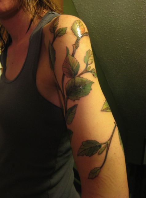 https://flic.kr/p/8ztQRc+|+My+new+tattoo+|+Birch+tree+branches+ Birch Tree Branches, Birch Tree Tattoos, Herb Tattoo, Tree Branch Tattoo, Best Cover Up Tattoos, L Tattoo, Branch Tattoo, Botanical Tattoo, New Tattoo