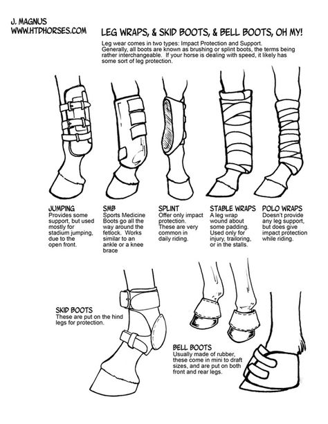 Tack - How to Draw Horses Horse Tack Drawing, Horse Tack Knowledge, How To Tack Up A Horse English, 4h Horse Poster Ideas, How To Tack A Horse, Tacking Up A Horse, How To Draw Horse, Cute Horse Tack, How To Draw Horses