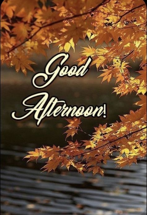 Good Afternoon Fall Quotes, Good Afternoon Fall Images, God Afternoon, Good Afternoon Images Beautiful, Good Afternoon Messages, Good Afternoon Images Hd, Afternoon Blessings, Afternoon Messages, Let The Weekend Begin