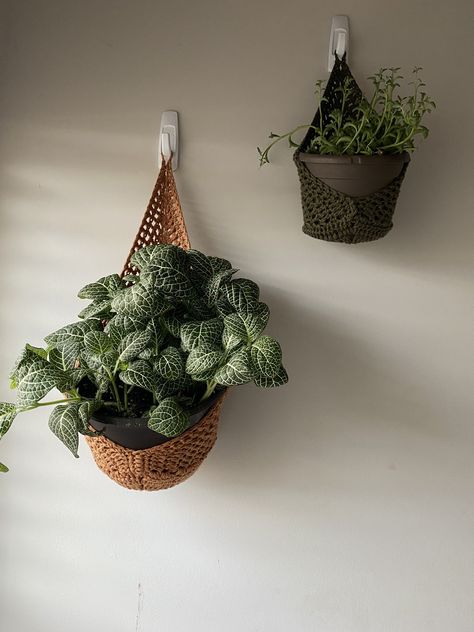 Crochet Plant Holder, Indoor Garden Decor, Wall Plant Holder, Plants And Gardening, Hanging Wall Planters, Support Plante, Diy Plant Hanger, Plants Decor, Planter Ideas