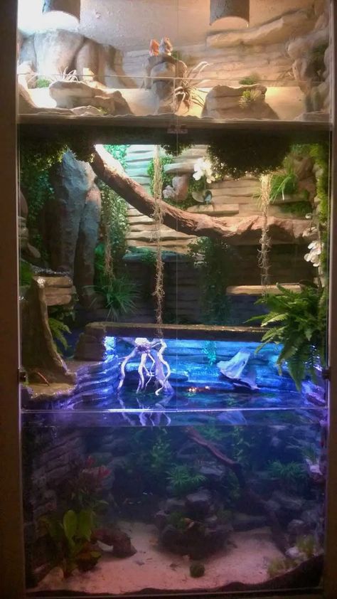 30 DIY Bearded Dragon Enclosure Ideas That Are Absolutely Stunning in 2023 | ExoPetGuides Diy Paludarium Construction, Paludarium Vivarium, Diy Bearded Dragon Enclosure, Iguana Cage, Water Dragons, Bearded Dragon Diy, Bearded Dragon Terrarium, Bearded Dragon Enclosure, Chinese Water Dragon