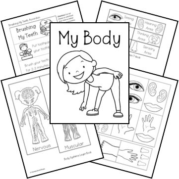 Hokey Pokey Song, Human Body Lapbook, Heart Facts, Free Human Body, My Five Senses, Envelope Book, Card Workout, Brain Facts, Alphabet Songs