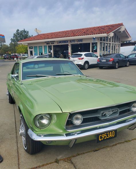 dream car green antique car aesthetic car 1975 mustang Green Mustang Aesthetic, Old Mustang Aesthetic, Vintage Mustang Aesthetic, 90s Cars Aesthetic, Classic Car Aesthetic, 1975 Mustang, Unhoneymooners Aesthetic, Mustang Aesthetic, Mustang Gtr