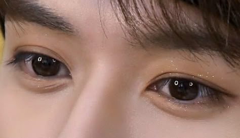 Lee Know Eyes Close Up, Minho Eyes, Leebit Drawing, Honey Eyes, Aries Art, Eye Close Up, Dancing King, Sparkly Eyes, Baby Eyes