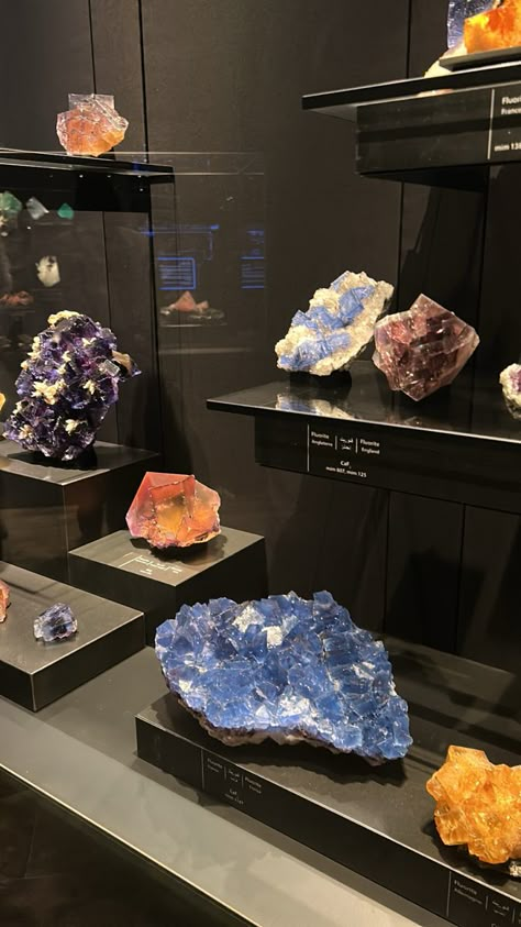 #aesthetic #crystals #crystalhealing #crystalshop #crystalsandgemstones #meaning #meaningful #museum #museumaesthetic Gemstone Collection Display, Gemology Aesthetic, Cuarzos Aesthetic, Geology Aesthetic, Gemstones Aesthetic, Crystal Collection Display, Aesthetic Crystals, Geode Decor, Minerals Museum