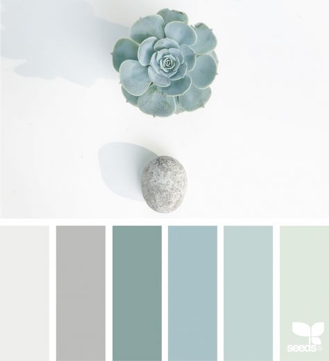 Still Tones Interior Paint Colors Schemes, Seeds Color, Paint Color Schemes, Design Websites, Room Color Schemes, Design Seeds, Interior Paint Colors, Branding Kit, Layout Template