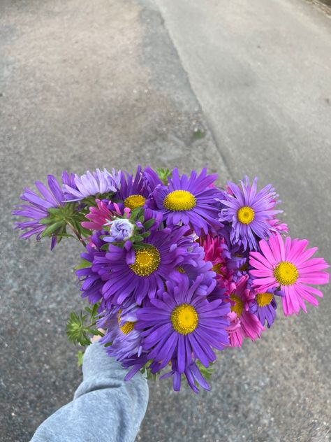 Purple and pink aster bouquet Aster Flowers Bouquet, Aster Flower Aesthetic, Aster Flower Bouquet, Pink Aster Flower, Asters Flower, Aster Bouquet, Purple Aster, Delicate Flower Tattoo, Aster Flowers