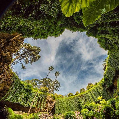 Umpherston Sinkhole isn't just a spectacular work of nature formed by millions of years’ limestone corrosion - it’s also a lush garden right in the heart of Discover Mount Gambier! Photo: @simeyrocks (via IG) in the Limestone Coast #SeeSouthAustralia Umpherston Sinkhole, Mount Gambier, Birthday Trip, Beautiful Images Nature, Vision Boards, People Online, Lush Garden, My Town, Camping And Hiking