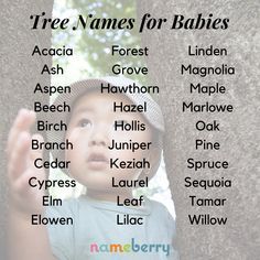 Biblical Baby Names Boy, Tree Names, Names For Babies, Romantic Girl Names, Plant Names, Names Girl, Baby Name List, Fantasy Names